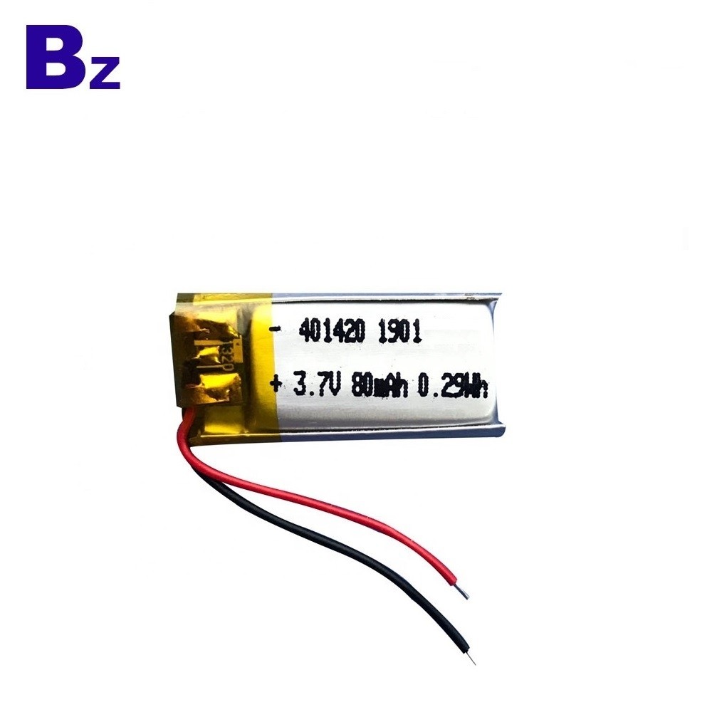 用於熒光燈的鋰離子電池