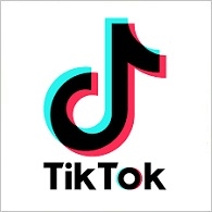 bzbattery tiktok