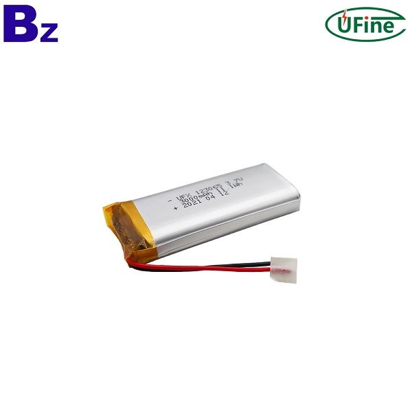 2021 Newest Rechargeable 3000mAh Lipo Battery