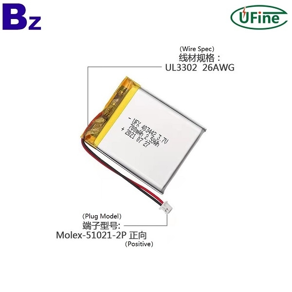 中國工廠批發 700mAh 電池